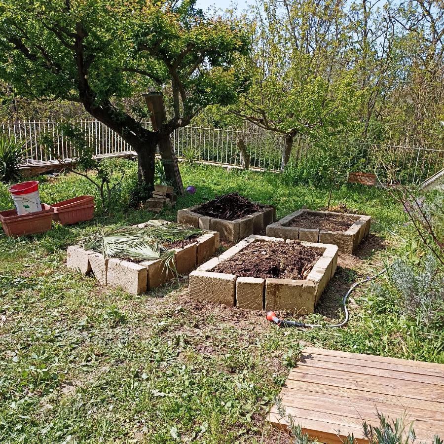 Ripe'S Forest Garden Guest House روما المظهر الخارجي الصورة